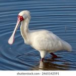 青苹果影视yy4480殇情:探索青春与爱情交织的感人故事 5u0f55gq3r