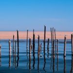 青苹果影视yy6090在线观看免费:畅享最新热门影视剧,尽在青苹果平台! cejvbvv